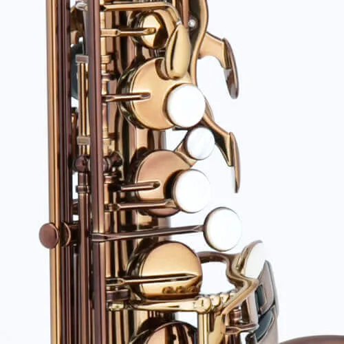 Chateau Chambord CAS-50C Alto Saxophone - Cognac