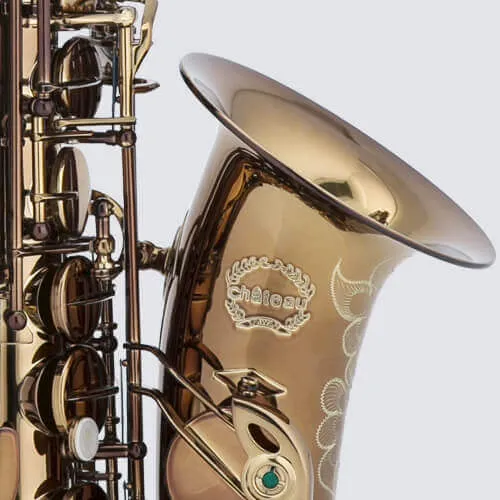 Chateau Chambord CAS-50C Alto Saxophone - Cognac