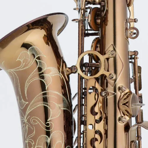 Chateau Chambord CAS-50C Alto Saxophone - Cognac