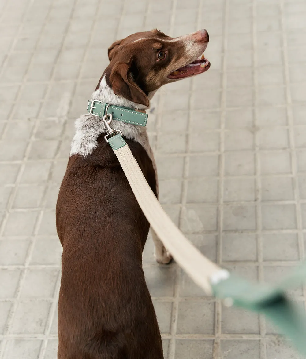 Collar Cuero Vegano Verde, Corda