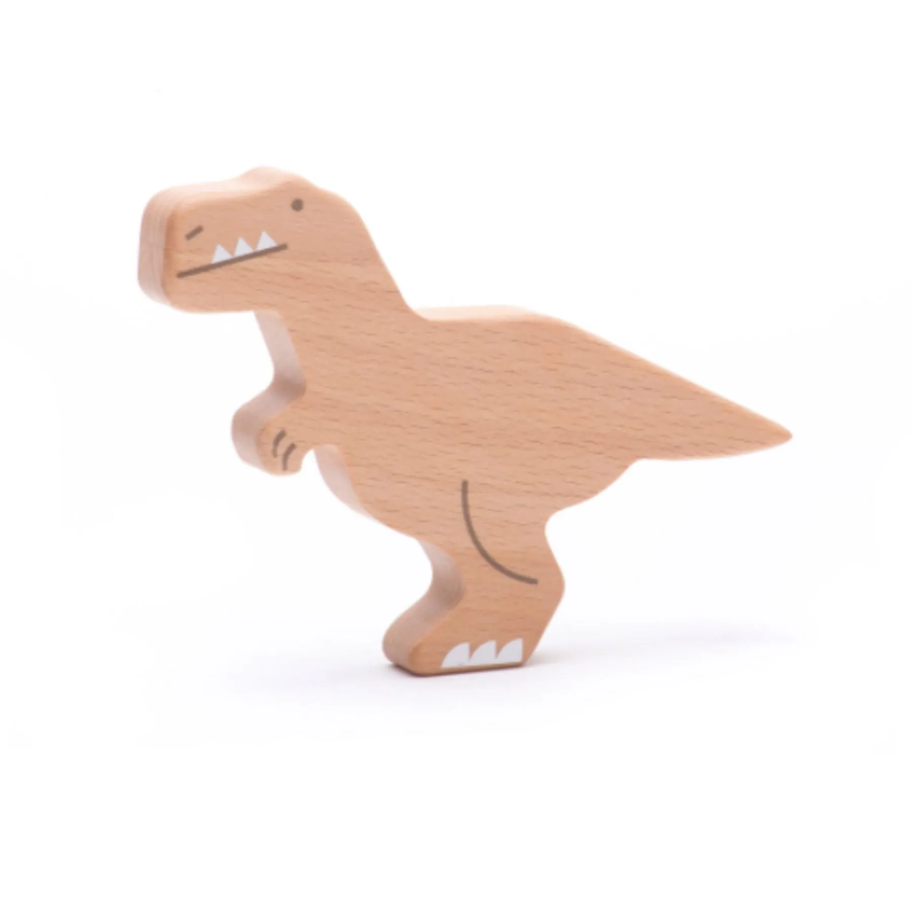 Dinosaur Figures Box Set